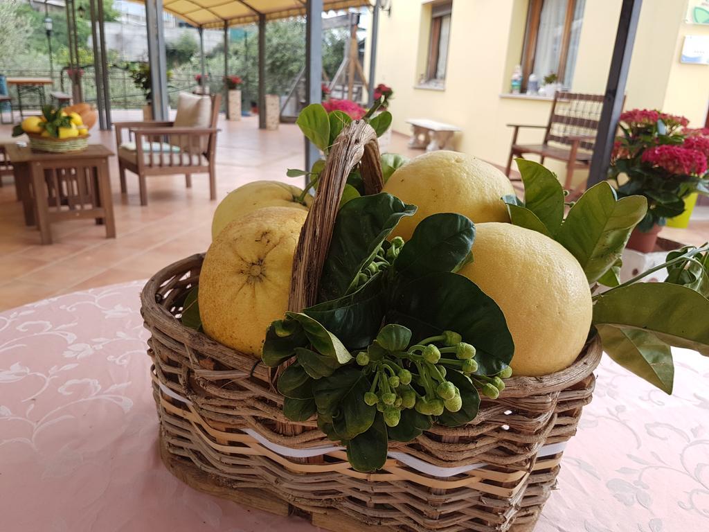 Agriturismo Al Nido Degli Aironi 산레모 외부 사진