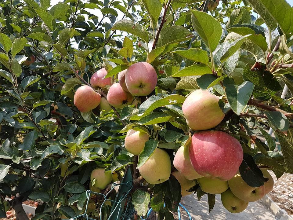Agriturismo Al Nido Degli Aironi 산레모 외부 사진