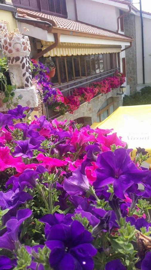 Agriturismo Al Nido Degli Aironi 산레모 외부 사진